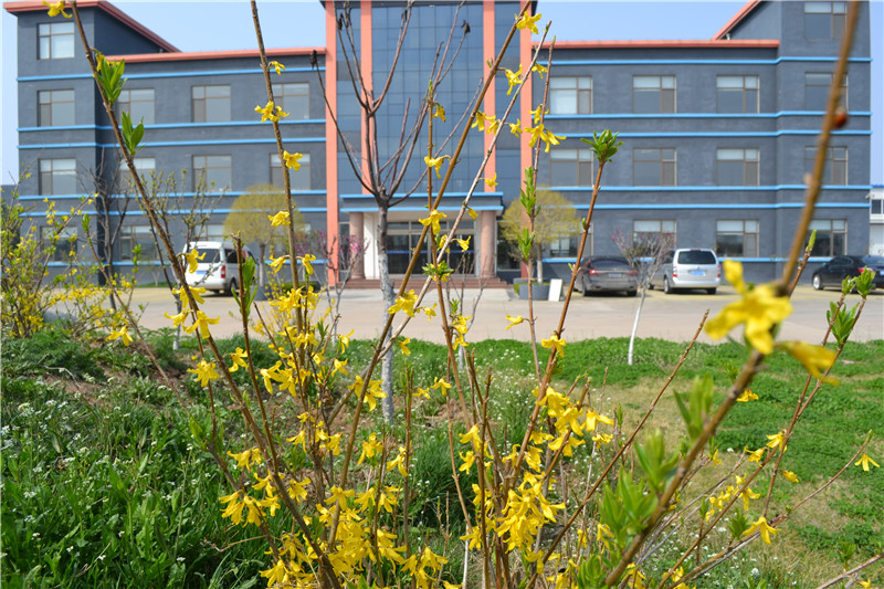 春暖花開(kāi)，宇通管業(yè)園區(qū)內(nèi)花兒爭(zhēng)相開(kāi)放！